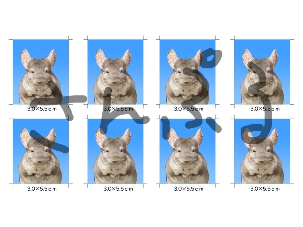 なげっと　証明写真シール