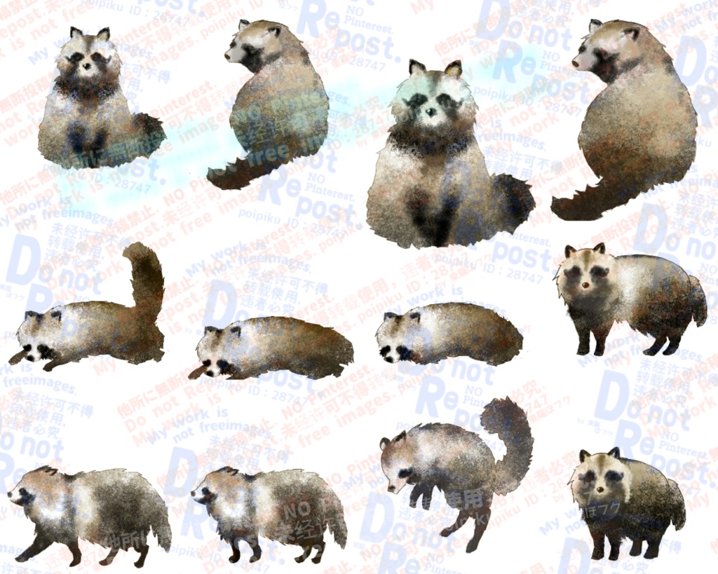 【無料版有り】立ち絵素材【たぬき】