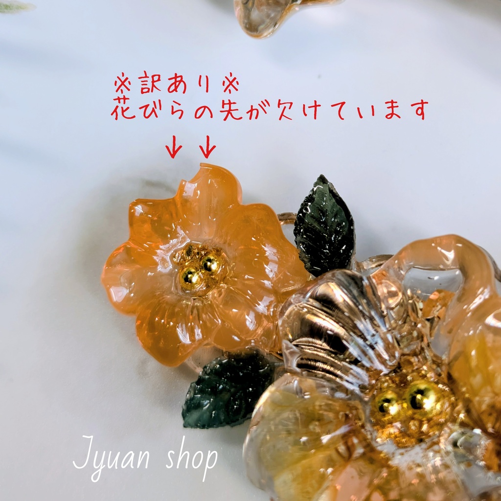 Bloom Ego ─ Re:Ignite │ 國神錬介 概念