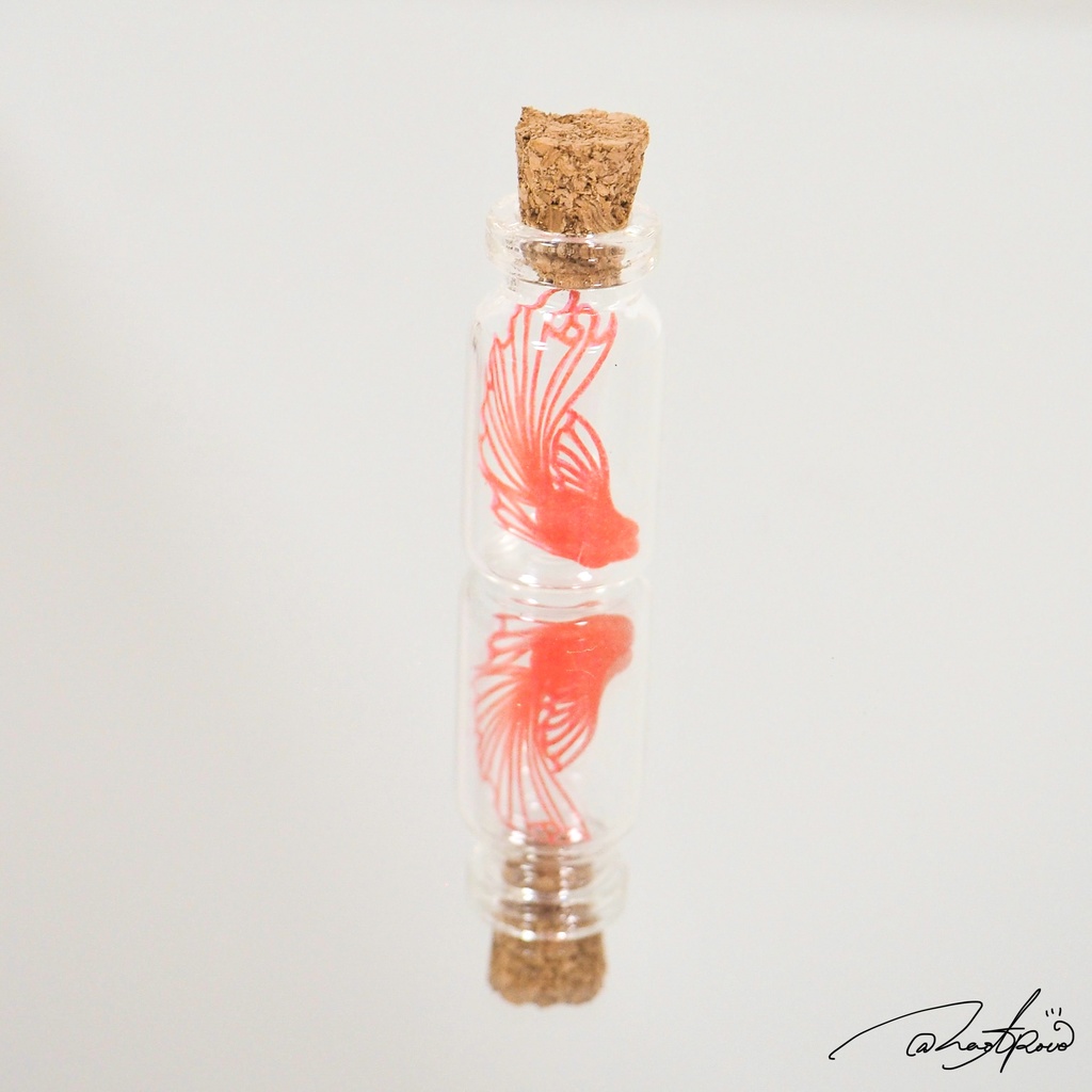 【標本切り絵】紅金魚