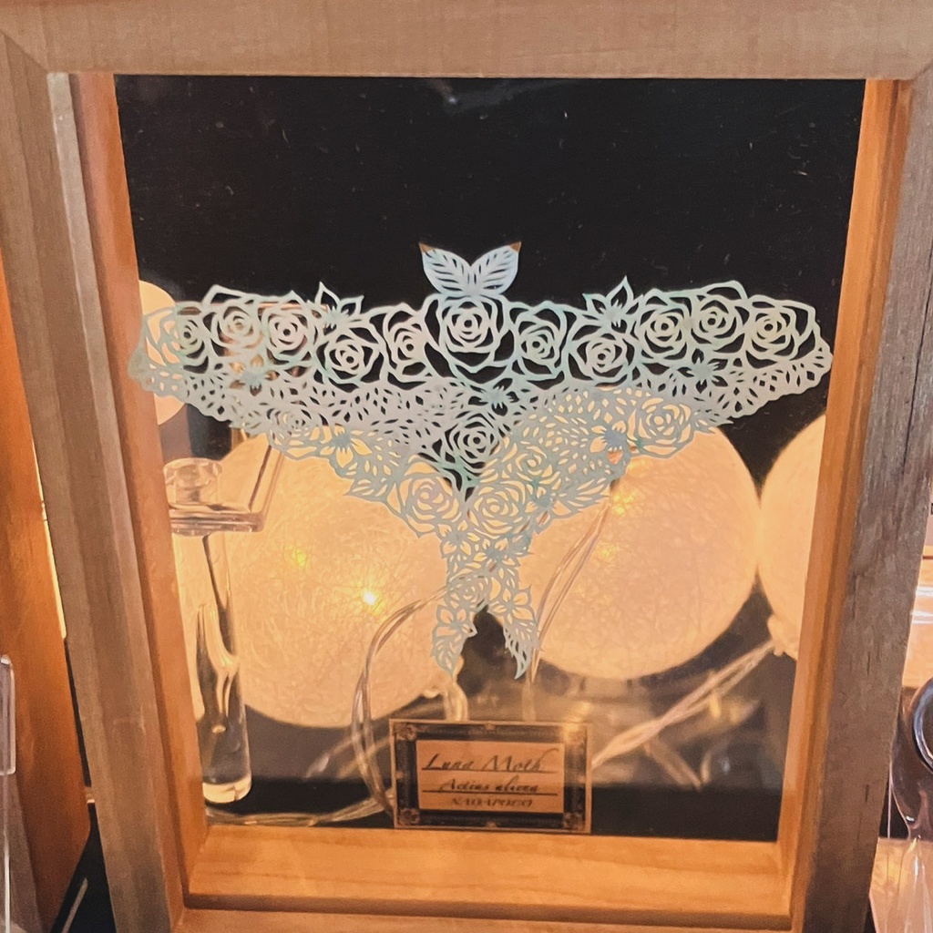 【切り絵昆虫標本額】