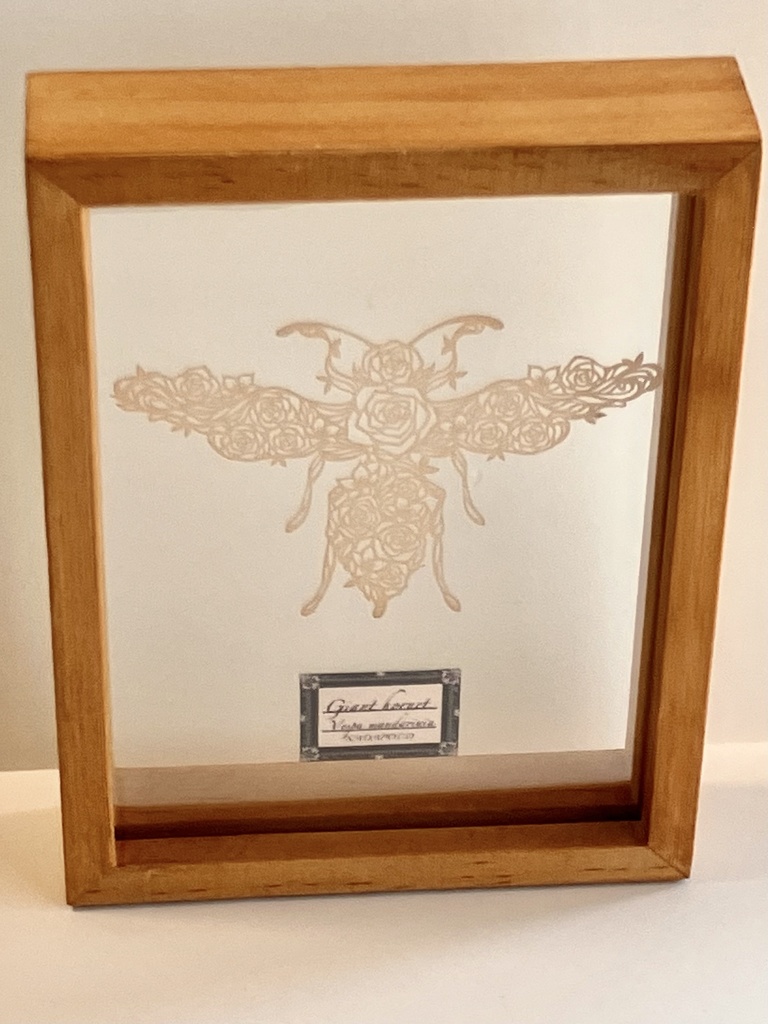 【切り絵昆虫標本額】