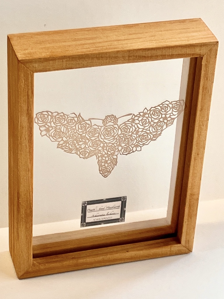 【切り絵昆虫標本額】