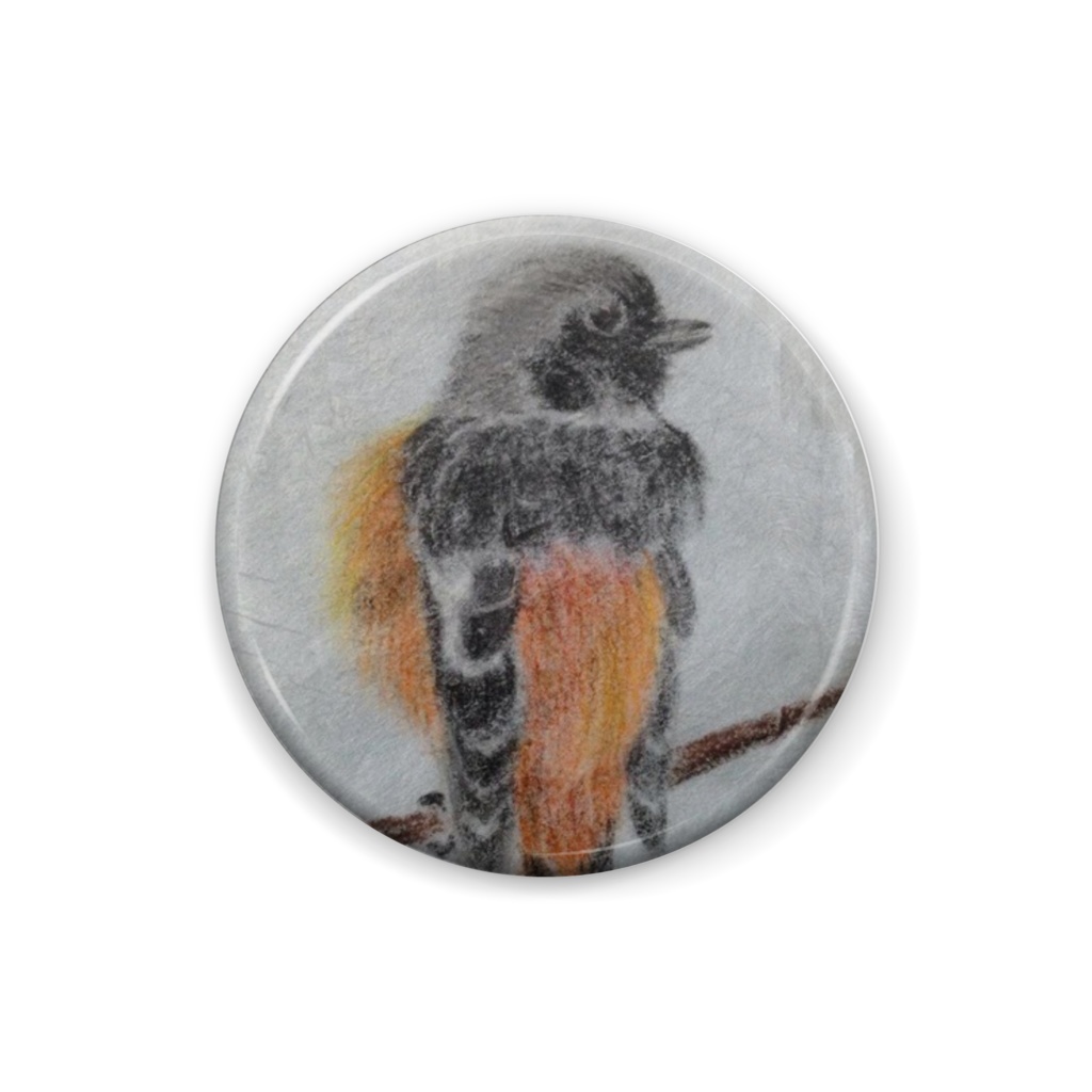 ジョウビタキ見返り美人缶バッジ