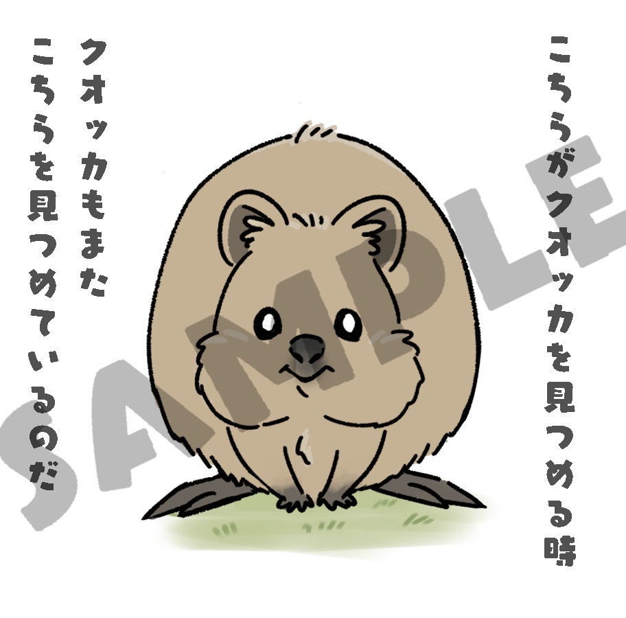 クオッカ缶バッジ