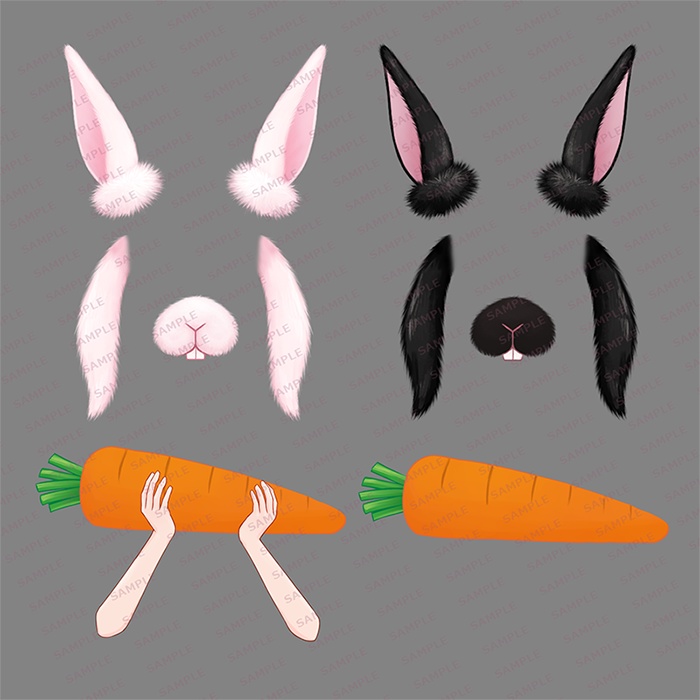 動く!うさぎなりきりアイテムセット