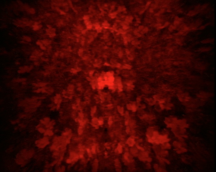 Flower 5