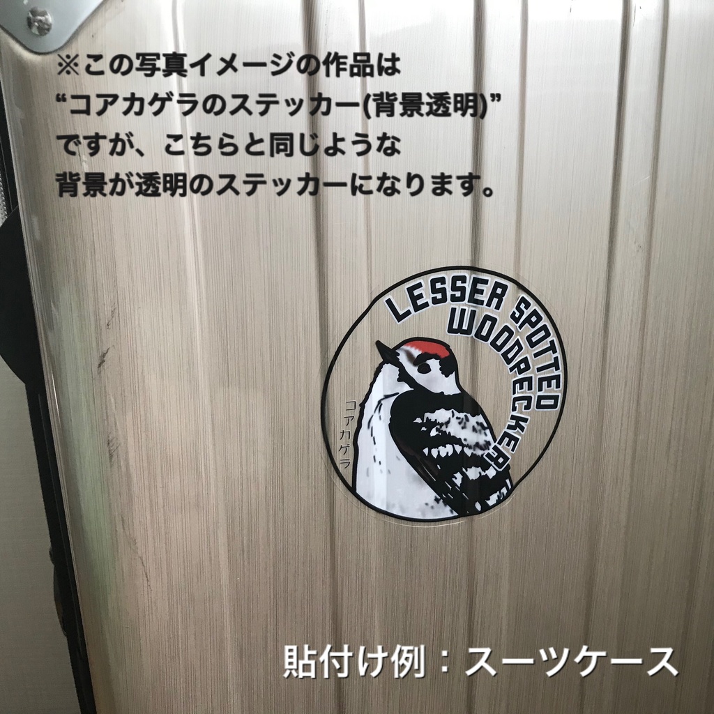 ハマヒバリのステッカー(背景透明)