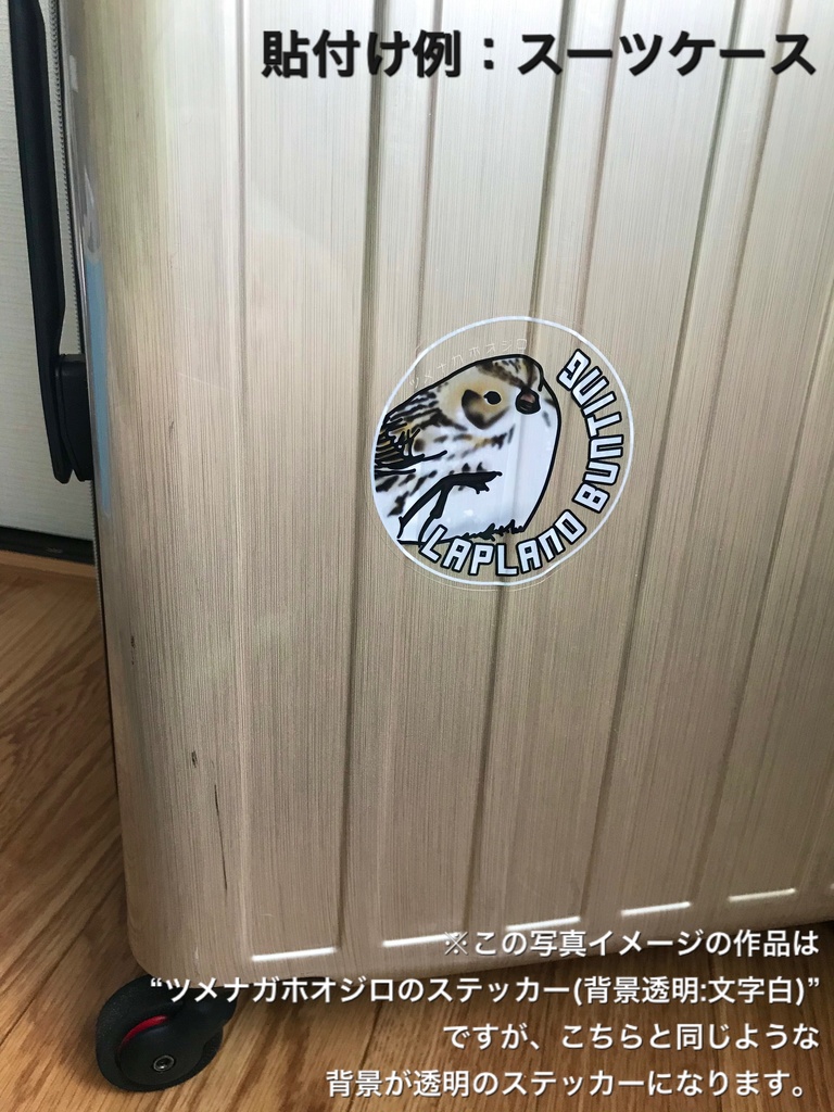 ツメナガホオジロのステッカー(背景透明)