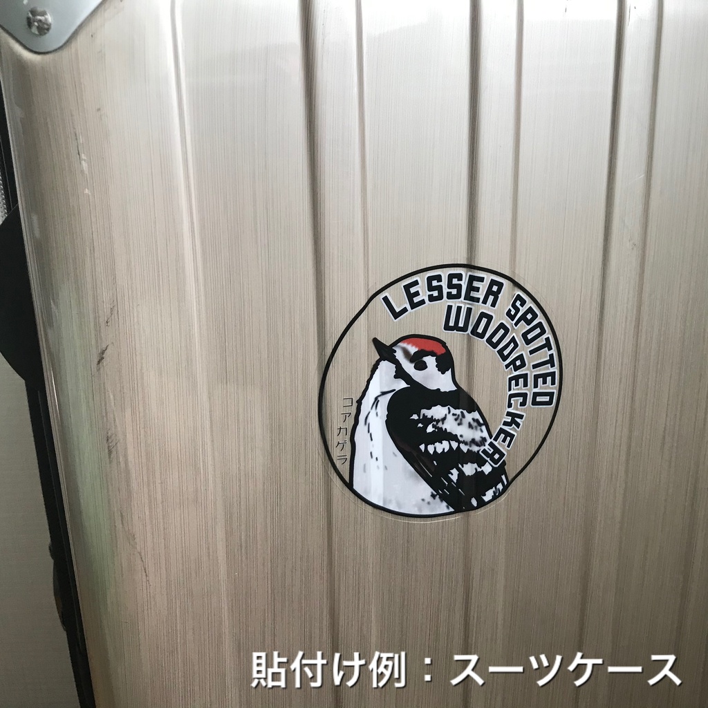 コアカゲラのステッカー(背景透明)