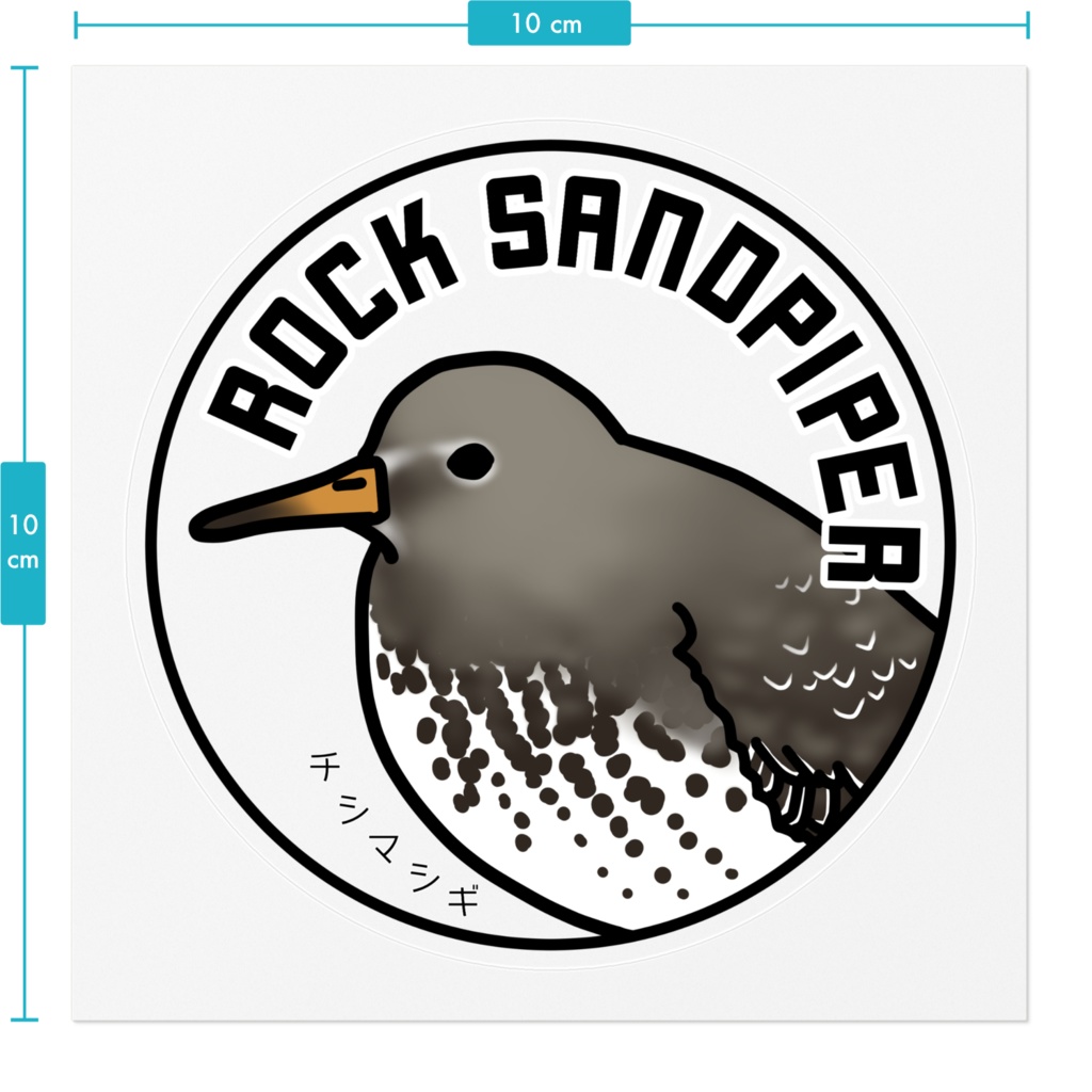 チシマシギのステッカー(背景透明)