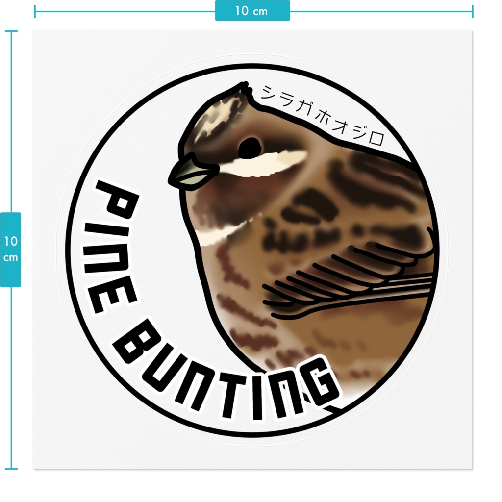 シラガホオジロのステッカー(背景透明)