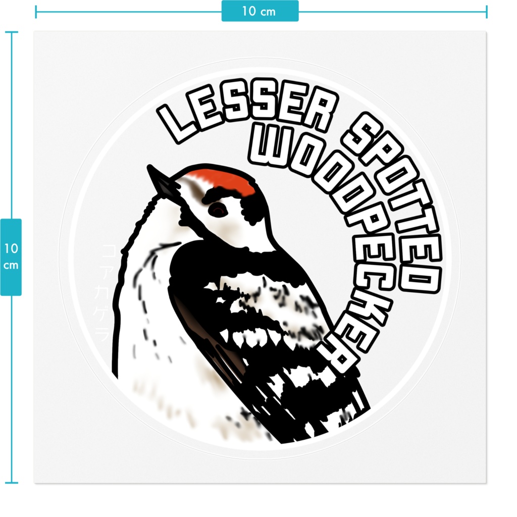 コアカゲラのステッカー(背景透明:文字白)