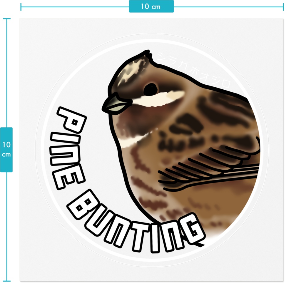 シラガホオジロのステッカー(背景透明:文字白)