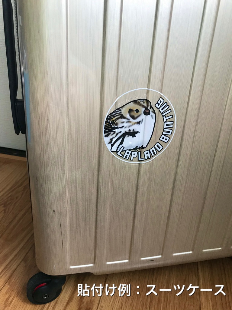 ツメナガホオジロのステッカー(背景透明:文字白)