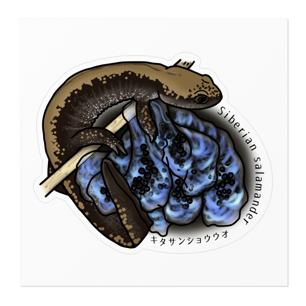 キタサンショウウオ(湿原のサファイア)のステッカー