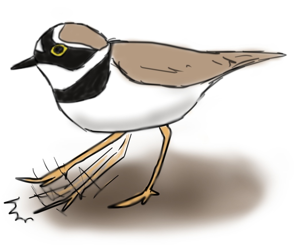 ペチペチして獲物を追い出すコチドリのトートバッグ