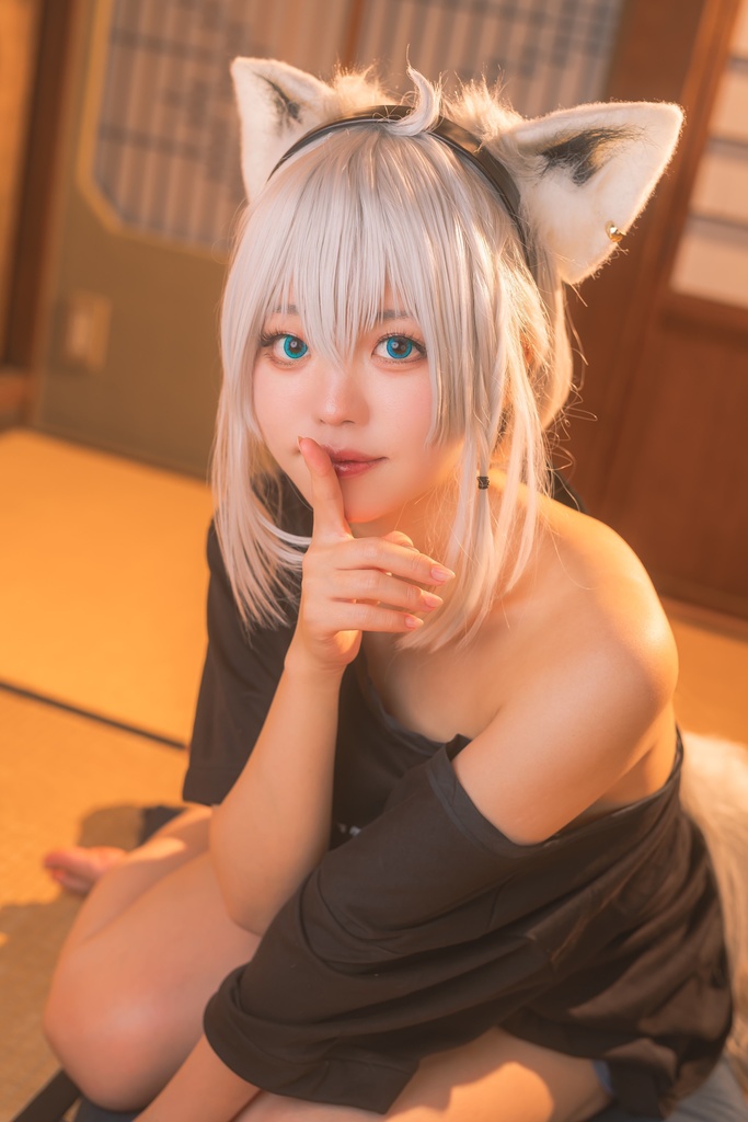 ホロクル6TH Citrine 白上フブキ写真集