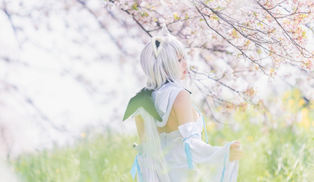 狐のひととせ全シーズン🌸🌻🍂⛄️