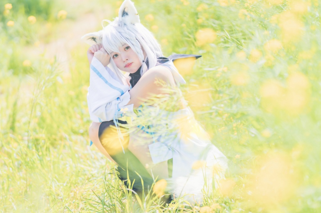 狐のひととせ全シーズン🌸🌻🍂⛄️