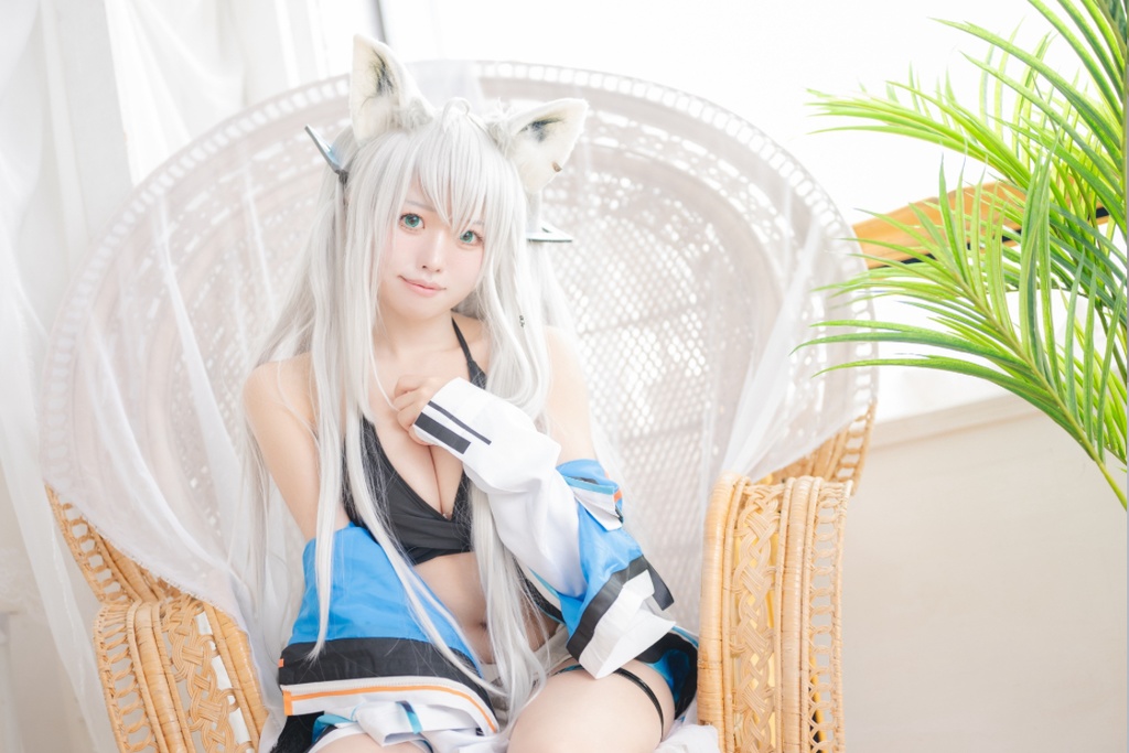 狐のひととせ全シーズン🌸🌻🍂⛄️