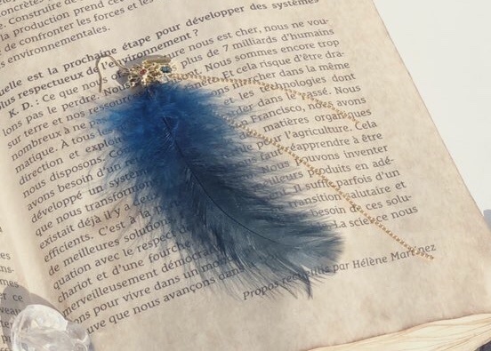 曲芸師〈アマツバメ〉