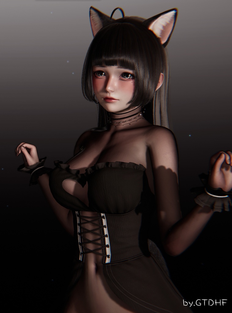 No. 17 “小黑猫” Honey Select 2 HS2 キャラクターカード Character Cards Graphics Preset