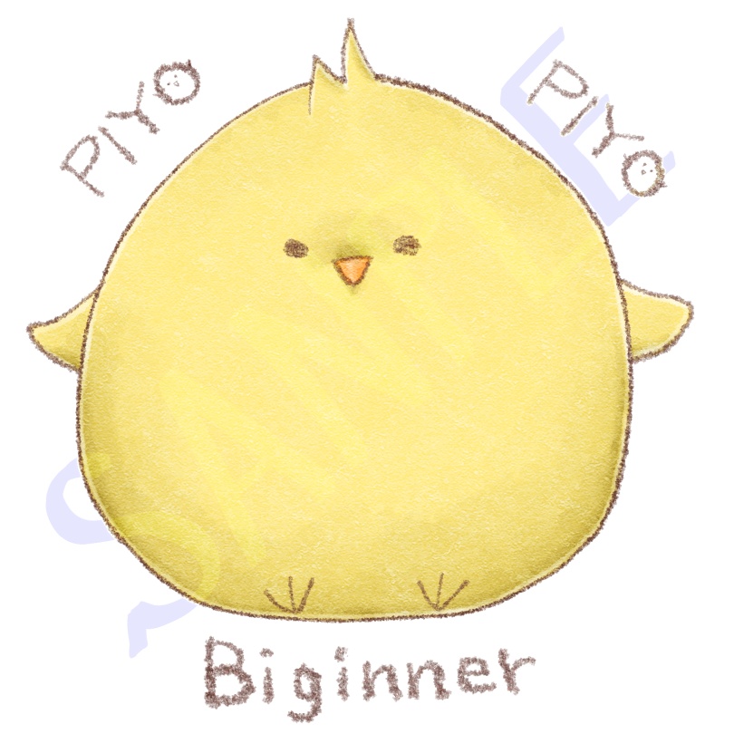 ビギナーなパーカー