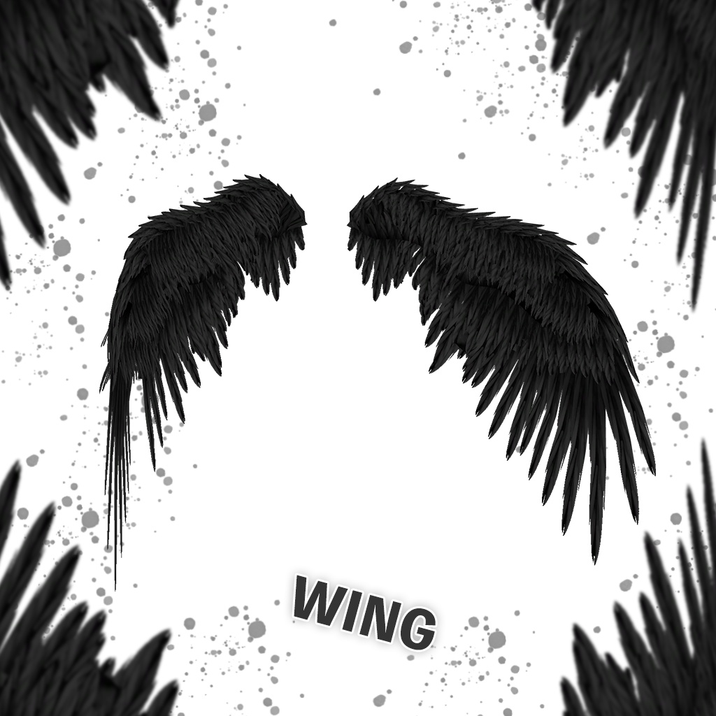 「ここあ」専用【3D衣装モデル】Crow