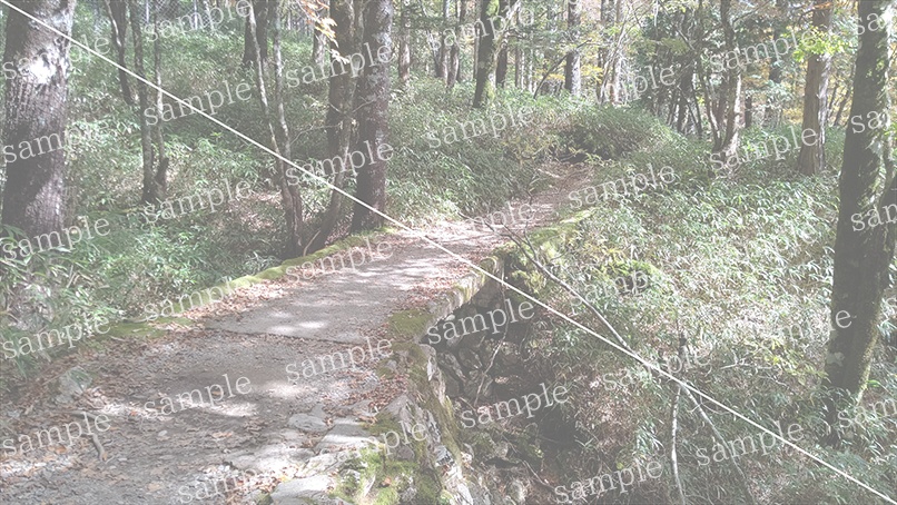 山の写真22-a00(IN大台ケ原)