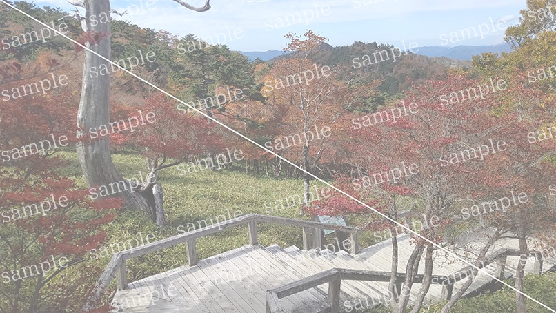 山の写真22-a00(IN大台ケ原)