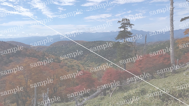 山の写真22-a00(IN大台ケ原)