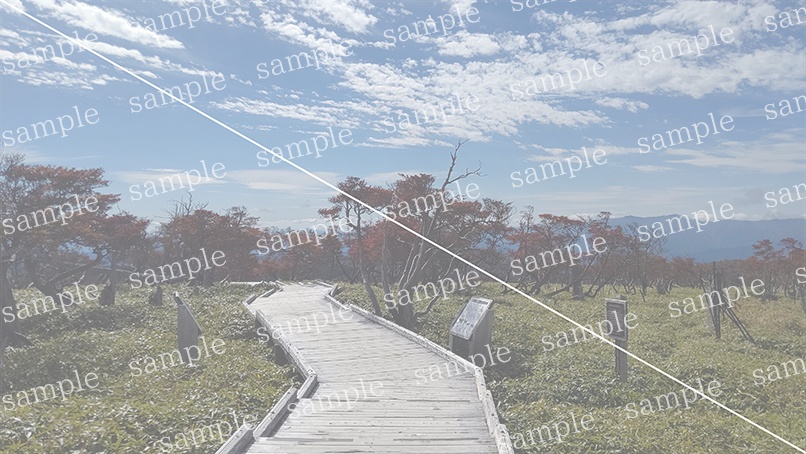 山の写真22-a00(IN大台ケ原)