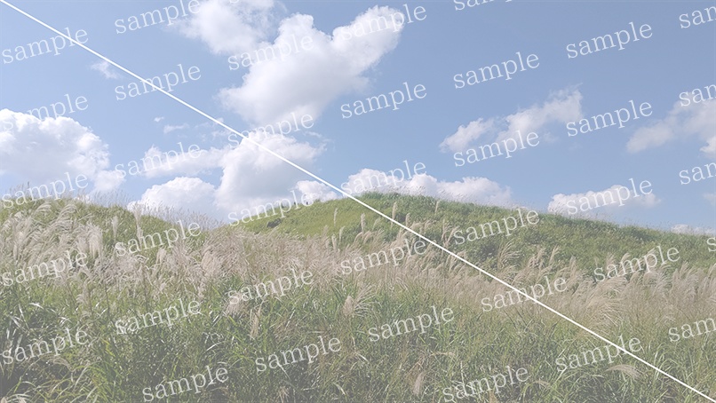 山の写真22-b01(IN曽爾高原)