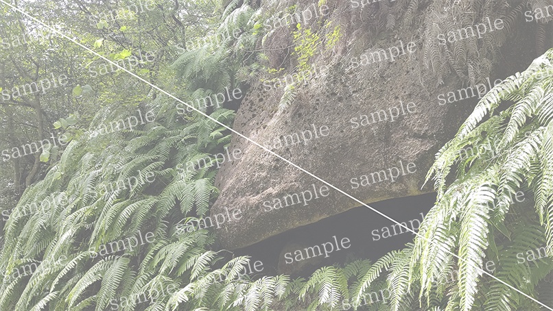 山の写真22-c00(IN堂山)