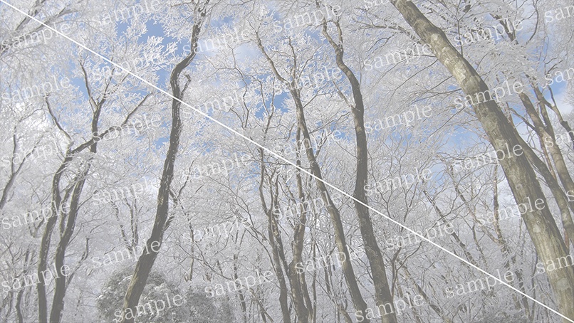 山の写真22-d00(IN高見山)