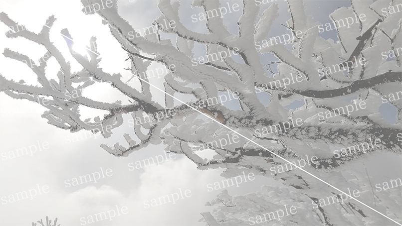 山の写真22-d00(IN高見山)