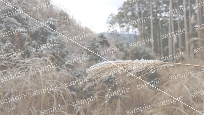 山の写真22-d00(IN高見山)