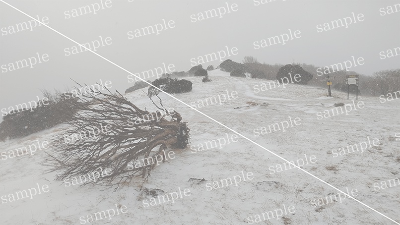 山の写真22-d00(IN高見山)