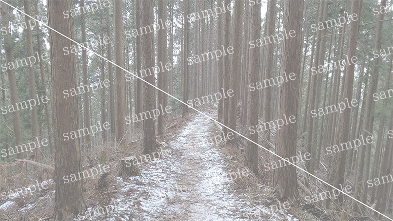 山の写真22-d00(IN高見山)