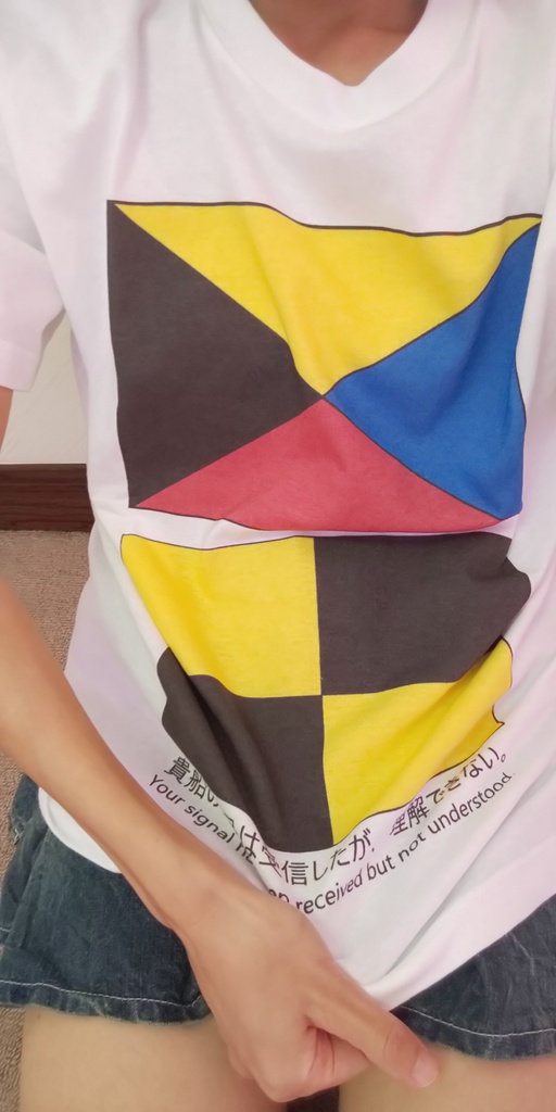 ZL「貴船の信号は受信したが、理解できない。」-国際信号旗シリーズ