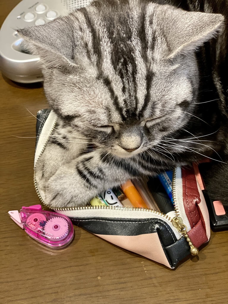 猫ペンケース
