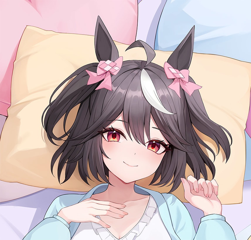 【非公式】 北部玄駒 キタサンブラック Kitasan Black 抱き枕カバー 【完全受注生産~2025/06/28】