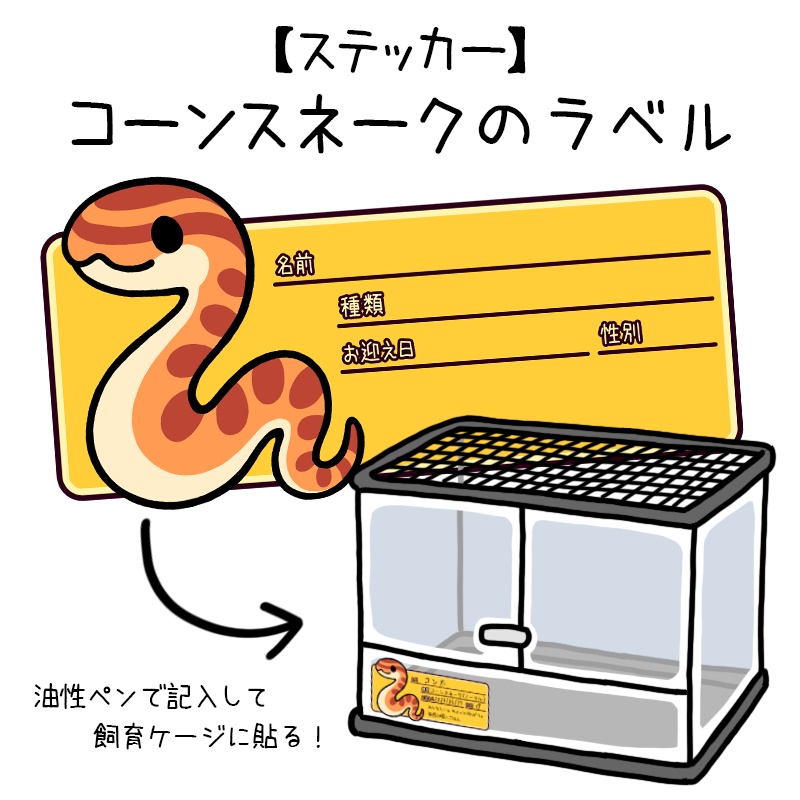 【ラベルステッカー】コーンスネーク（８種類）
