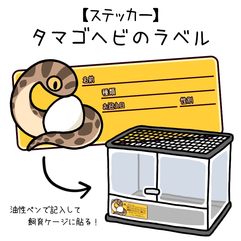 【ラベルステッカー】タマゴヘビ（７種類）