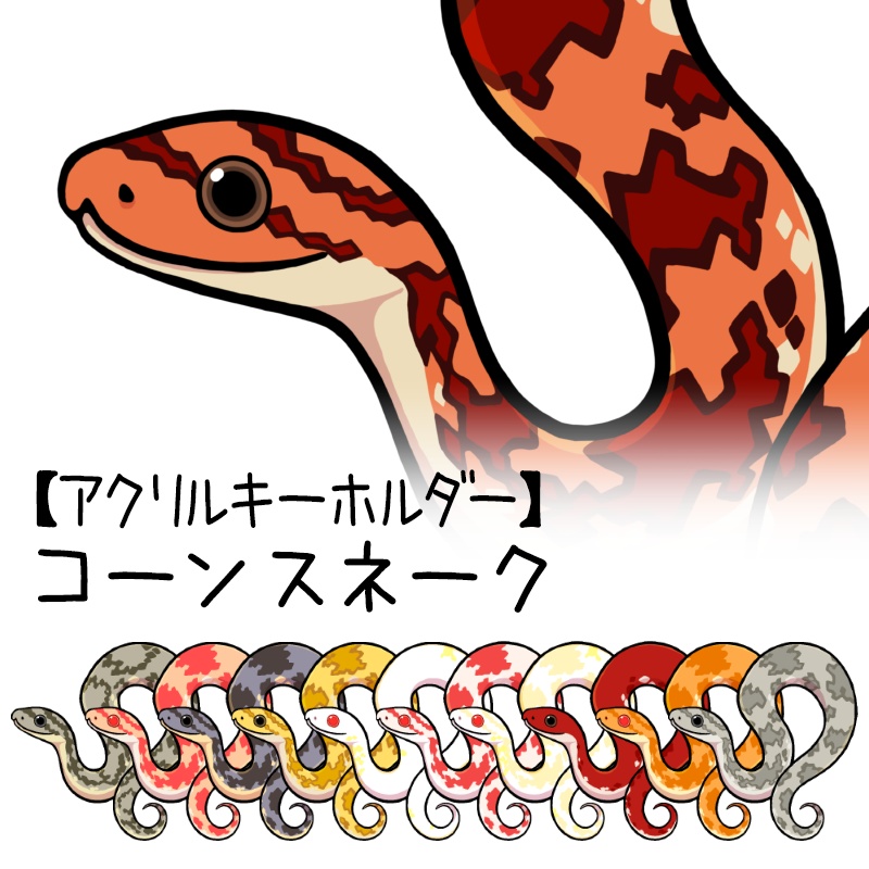 【アクキー】コーンスネーク（１１種類）