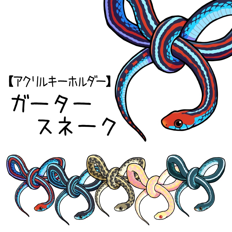 【アクキー】ガータースネーク(5種類)