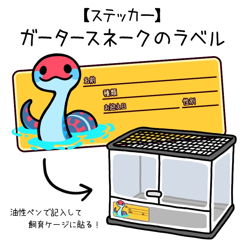【ラベルステッカー】ガータースネーク(5種類)