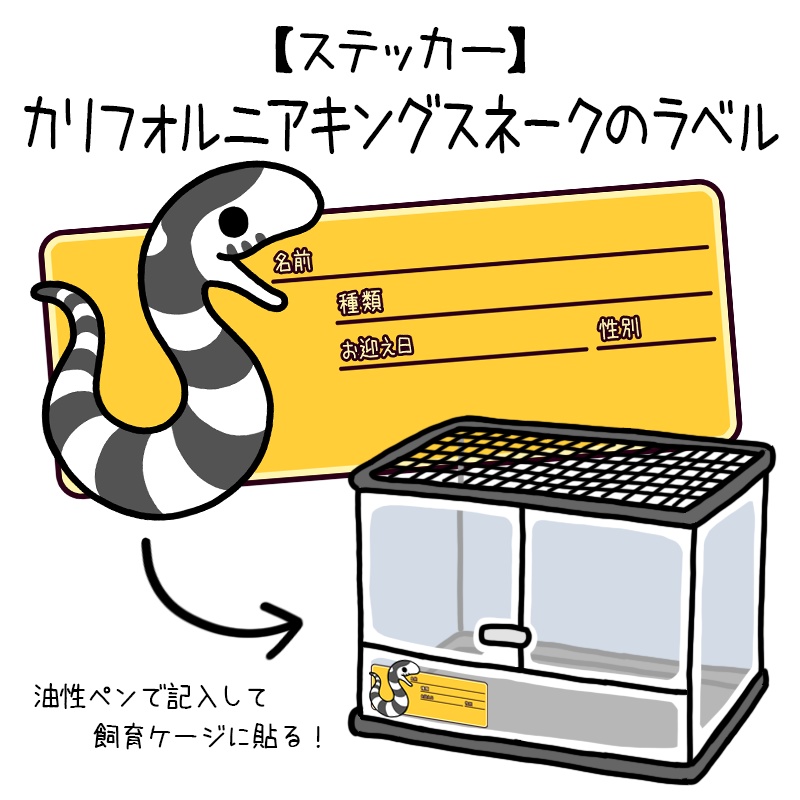 【ラベルステッカー】カリフォルニアキングスネーク(17種類)