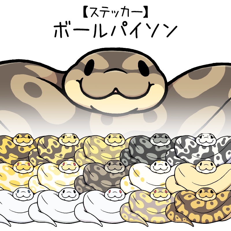 【ステッカー】ボールパイソン(１６種類)